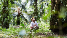 Regenerative agriculture improves soil quality and biodiversity, while reducing farm emissions and water consumption. Image: Unilever